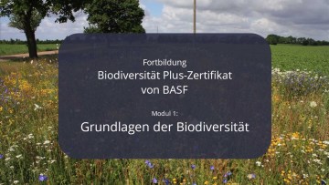 Kostenloses E-learning: Biodiversitätszertifikat von BASF